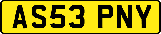 AS53PNY