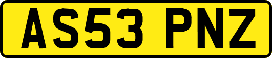 AS53PNZ