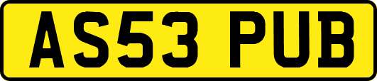 AS53PUB