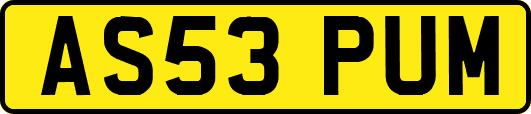 AS53PUM