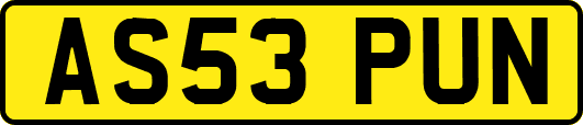 AS53PUN