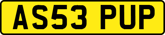 AS53PUP