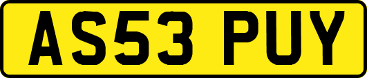 AS53PUY