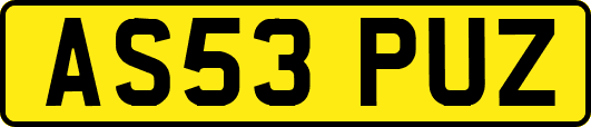 AS53PUZ