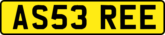 AS53REE