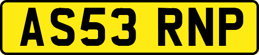 AS53RNP