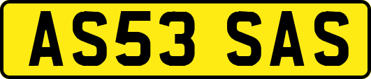 AS53SAS