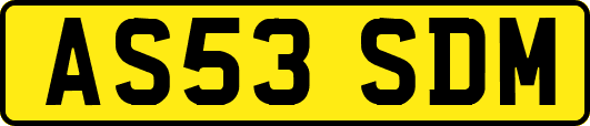 AS53SDM