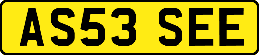 AS53SEE