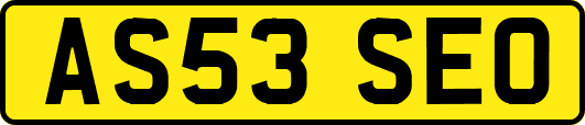 AS53SEO