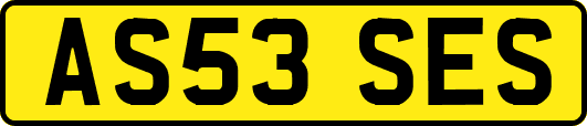 AS53SES