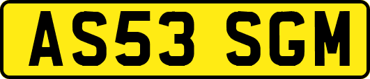 AS53SGM