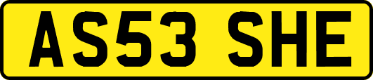 AS53SHE