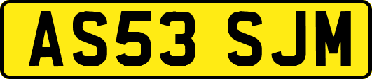 AS53SJM