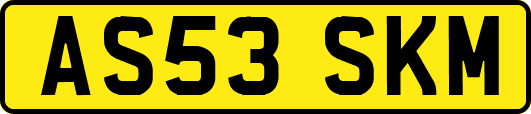 AS53SKM