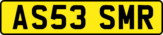 AS53SMR