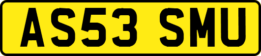 AS53SMU