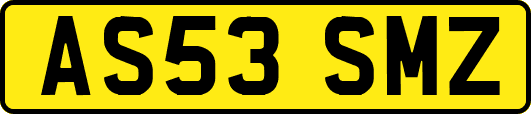 AS53SMZ