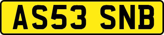AS53SNB