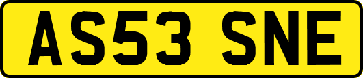 AS53SNE