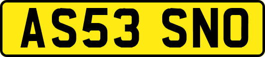 AS53SNO
