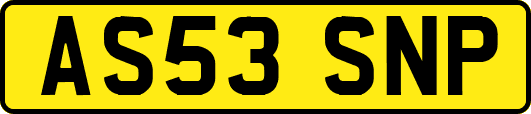 AS53SNP