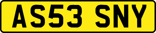 AS53SNY