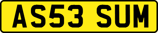 AS53SUM