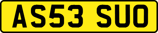 AS53SUO