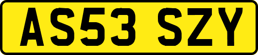 AS53SZY