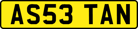 AS53TAN