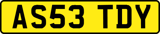 AS53TDY