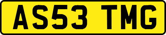 AS53TMG