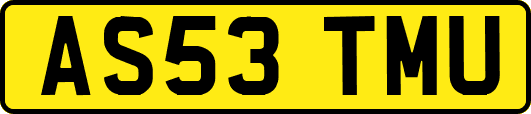 AS53TMU