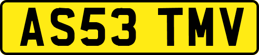 AS53TMV