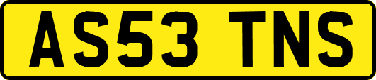AS53TNS