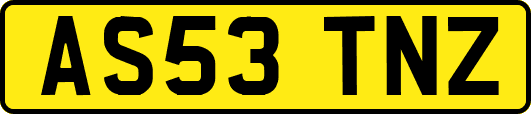 AS53TNZ