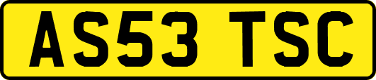 AS53TSC