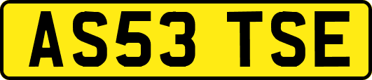 AS53TSE
