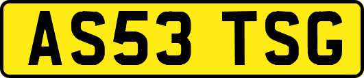 AS53TSG