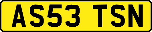 AS53TSN