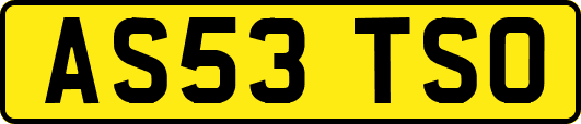 AS53TSO