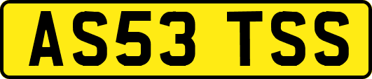 AS53TSS