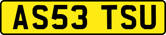 AS53TSU