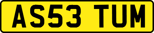 AS53TUM