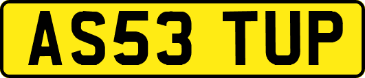 AS53TUP