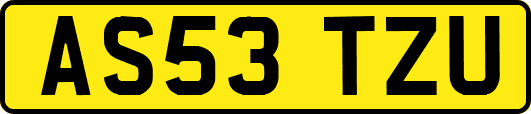 AS53TZU