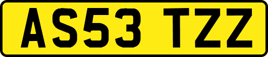 AS53TZZ