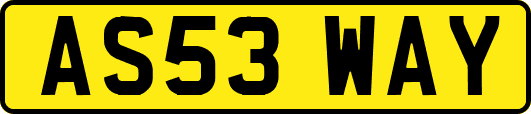 AS53WAY