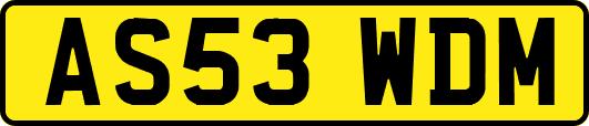 AS53WDM